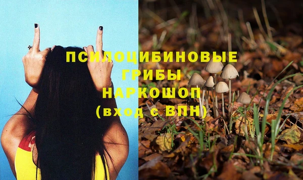 альфа пвп Богданович