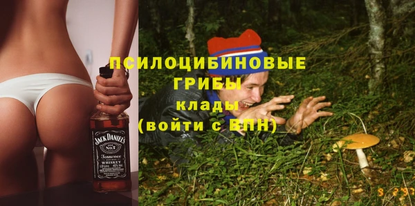 твердый Богородицк