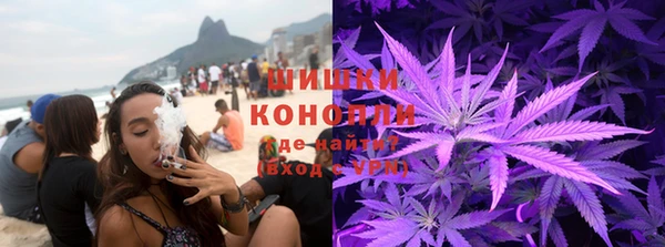 твердый Богородицк
